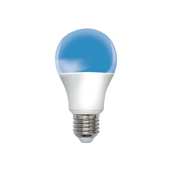 EASY BULB E27CW – Image 4
